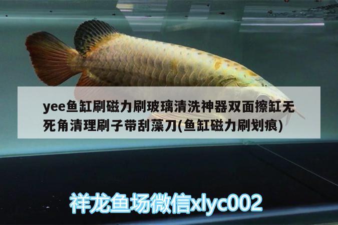 yee魚缸刷磁力刷玻璃清洗神器雙面擦缸無死角清理刷子帶刮藻刀(魚缸磁力刷劃痕)