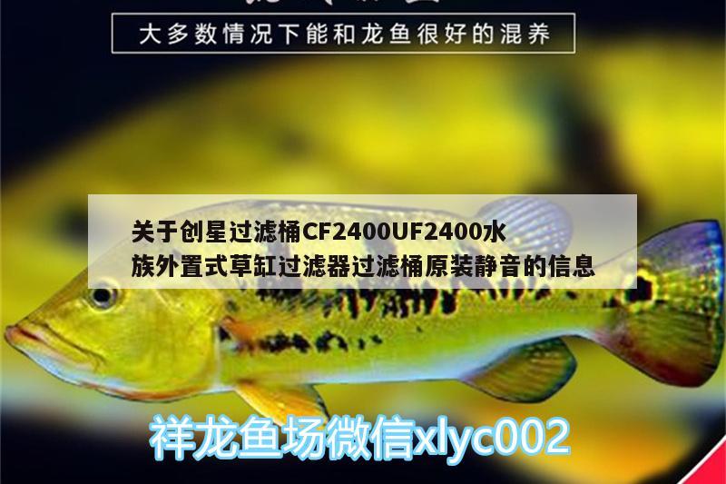 關(guān)于創(chuàng)星過濾桶CF2400UF2400水族外置式草缸過濾器過濾桶原裝靜音的信息 廣州水族器材濾材批發(fā)市場(chǎng)