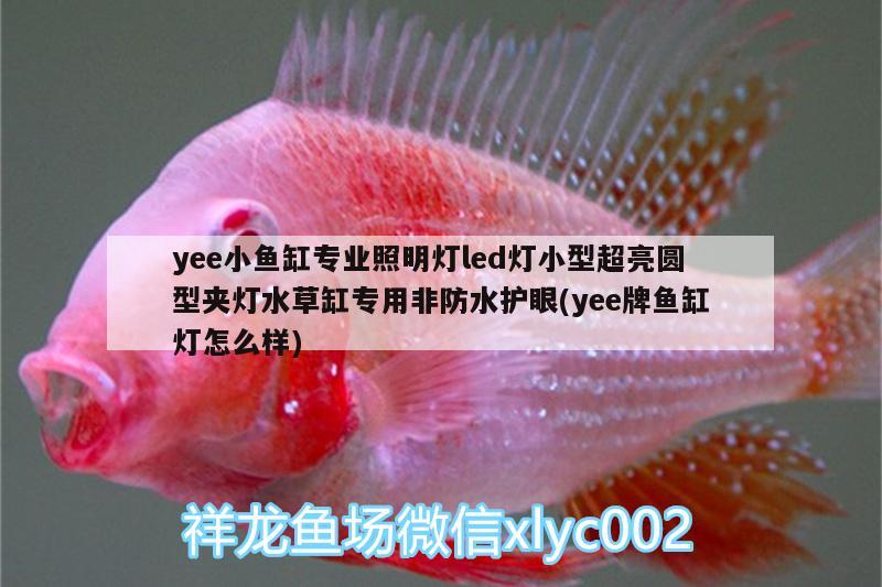 yee小魚缸專業(yè)照明燈led燈小型超亮圓型夾燈水草缸專用非防水護(hù)眼(yee牌魚缸燈怎么樣) yee