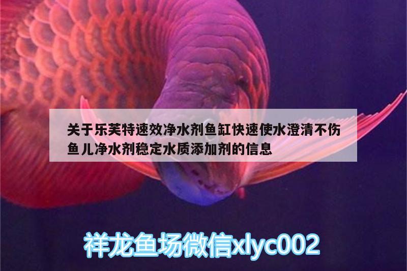 關(guān)于樂芙特速效凈水劑魚缸快速使水澄清不傷魚兒凈水劑穩(wěn)定水質(zhì)添加劑的信息