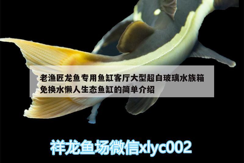 老漁匠龍魚專用魚缸客廳大型超白玻璃水族箱免換水懶人生態(tài)魚缸的簡(jiǎn)單介紹