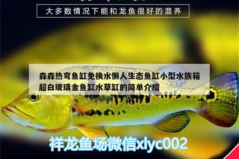 森森熱彎魚(yú)缸免換水懶人生態(tài)魚(yú)缸小型水族箱超白玻璃金魚(yú)缸水草缸的簡(jiǎn)單介紹