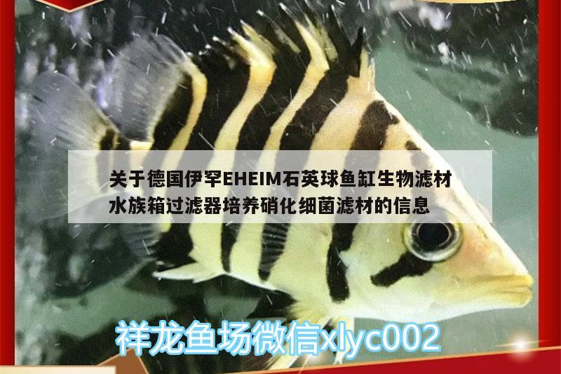 關(guān)于德國伊罕EHEIM石英球魚缸生物濾材水族箱過濾器培養(yǎng)硝化細菌濾材的信息