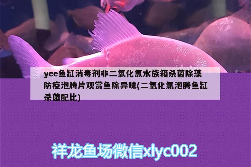 yee魚缸消毒劑非二氧化氯水族箱殺菌除藻防疫泡騰片觀賞魚除異味(二氧化氯泡騰魚缸殺菌配比)