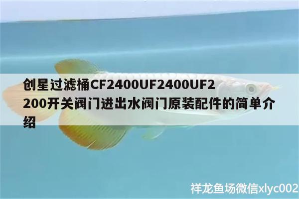 創(chuàng)星過(guò)濾桶CF2400UF2400UF2200開關(guān)閥門進(jìn)出水閥門原裝配件的簡(jiǎn)單介紹