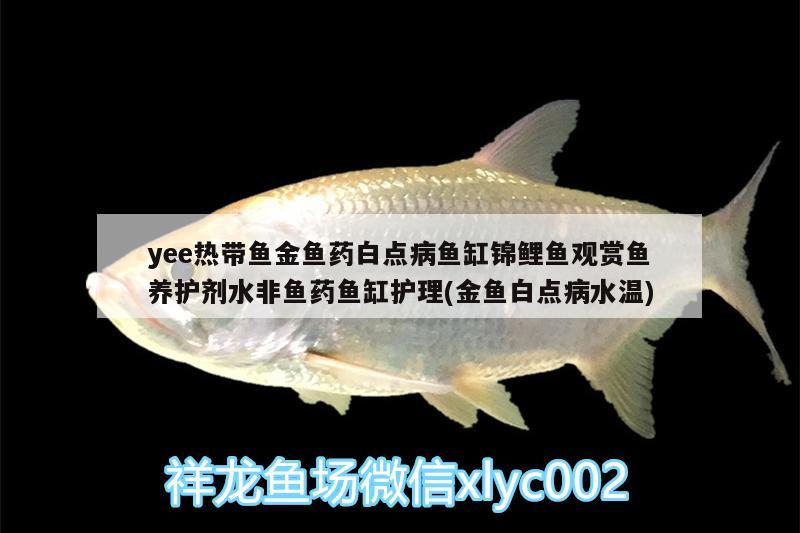 yee熱帶魚金魚藥白點病魚缸錦鯉魚觀賞魚養(yǎng)護劑水非魚藥魚缸護理(金魚白點病水溫)