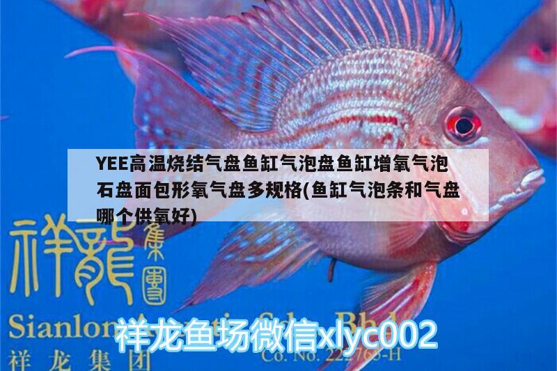 YEE高溫?zé)Y(jié)氣盤魚缸氣泡盤魚缸增氧氣泡石盤面包形氧氣盤多規(guī)格(魚缸氣泡條和氣盤哪個(gè)供氧好) yee