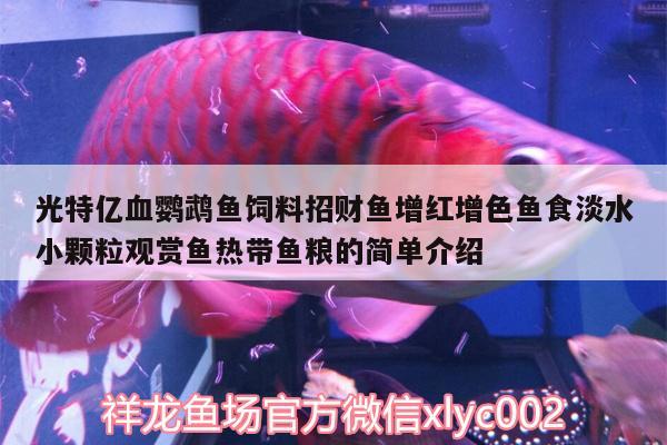 光特億血鸚鵡魚飼料招財魚增紅增色魚食淡水小顆粒觀賞魚熱帶魚糧的簡單介紹 鸚鵡魚