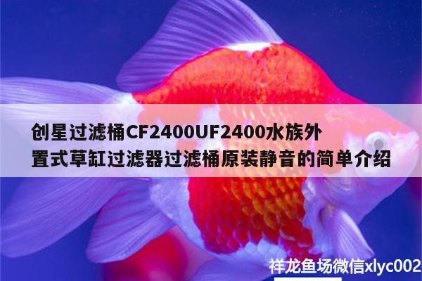 創(chuàng)星過濾桶CF2400UF2400水族外置式草缸過濾器過濾桶原裝靜音的簡單介紹 廣州水族器材濾材批發(fā)市場