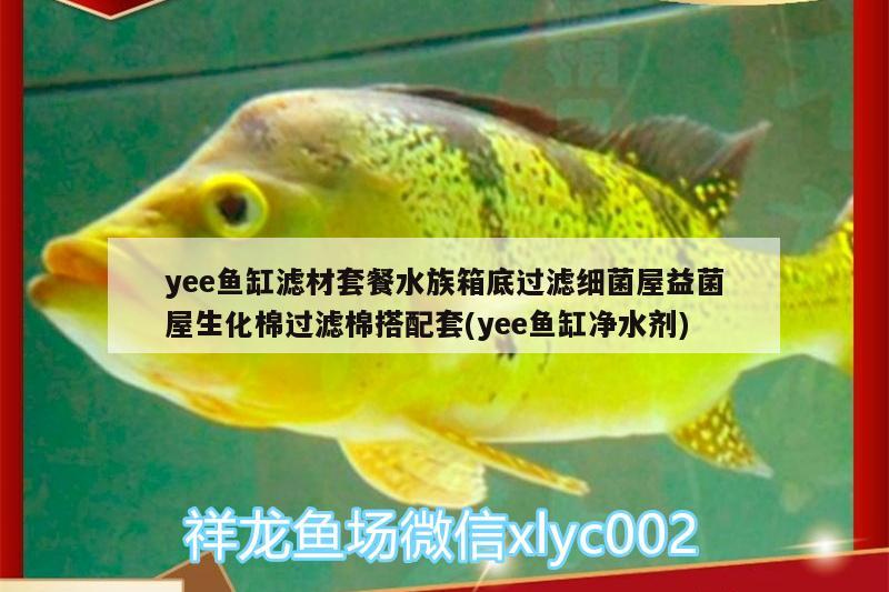 yee魚缸濾材套餐水族箱底過(guò)濾細(xì)菌屋益菌屋生化棉過(guò)濾棉搭配套(yee魚缸凈水劑) yee