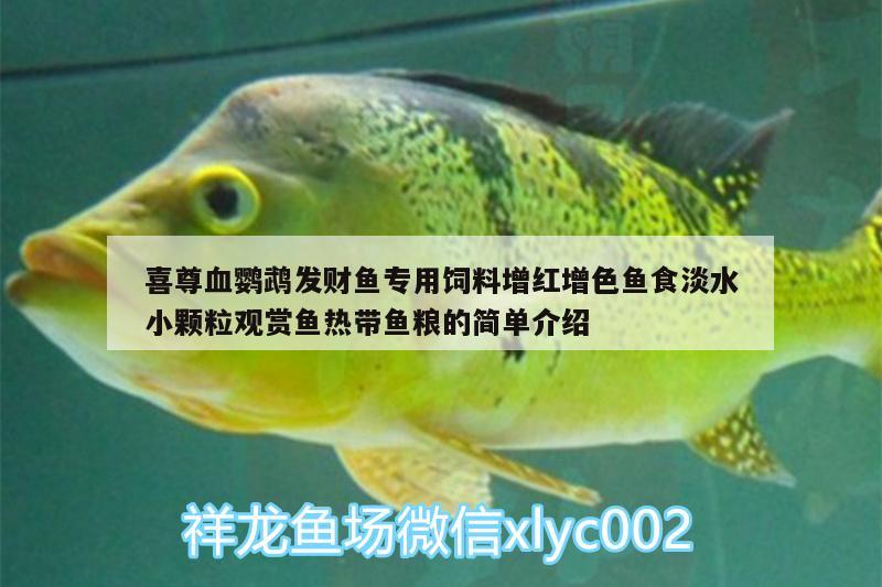 喜尊血鸚鵡發(fā)財魚專用飼料增紅增色魚食淡水小顆粒觀賞魚熱帶魚糧的簡單介紹