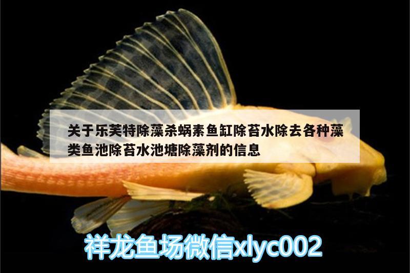 關(guān)于樂芙特除藻殺蝸素魚缸除苔水除去各種藻類魚池除苔水池塘除藻劑的信息 廣州水族器材濾材批發(fā)市場