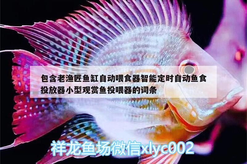 包含老漁匠魚缸自動喂食器智能定時自動魚食投放器小型觀賞魚投喂器的詞條