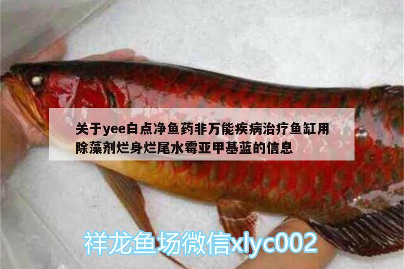 關(guān)于yee白點(diǎn)凈魚藥非萬能疾病治療魚缸用除藻劑爛身爛尾水霉亞甲基藍(lán)的信息