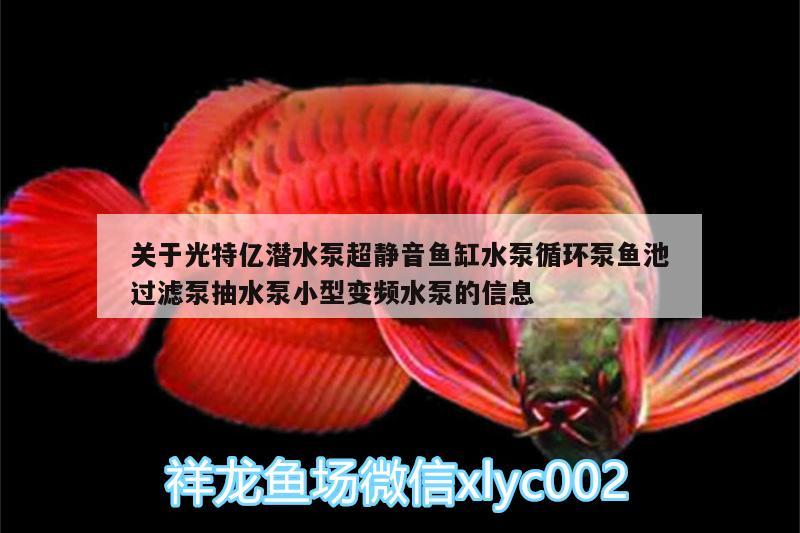 關(guān)于光特億潛水泵超靜音魚缸水泵循環(huán)泵魚池過濾泵抽水泵小型變頻水泵的信息 光特億