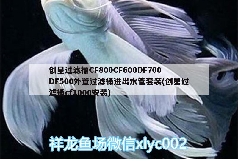 創(chuàng)星過(guò)濾桶CF800CF600DF700DF500外置過(guò)濾桶進(jìn)出水管套裝(創(chuàng)星過(guò)濾桶cf1000安裝) 廣州水族器材濾材批發(fā)市場(chǎng)