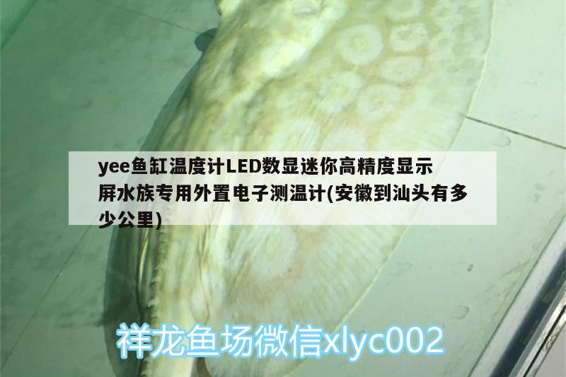 yee魚(yú)缸溫度計(jì)LED數(shù)顯迷你高精度顯示屏水族專用外置電子測(cè)溫計(jì)(安徽到汕頭有多少公里) yee