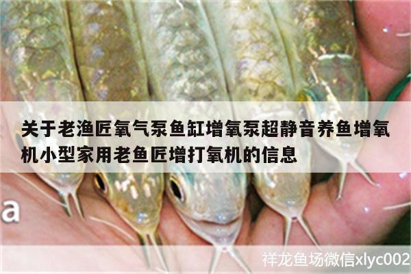 關(guān)于老漁匠氧氣泵魚缸增氧泵超靜音養(yǎng)魚增氧機(jī)小型家用老魚匠增打氧機(jī)的信息 老魚匠