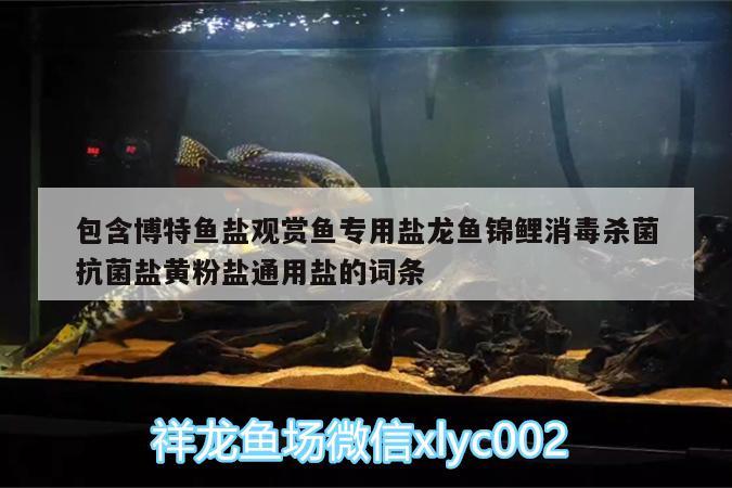 包含博特魚鹽觀賞魚專用鹽龍魚錦鯉消毒殺菌抗菌鹽黃粉鹽通用鹽的詞條