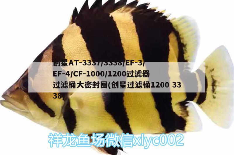 創(chuàng)星AT-3337/3338/EF-3/EF-4/CF-1000/1200過濾器過濾桶大密封圈(創(chuàng)星過濾桶12003338) 廣州水族器材濾材批發(fā)市場