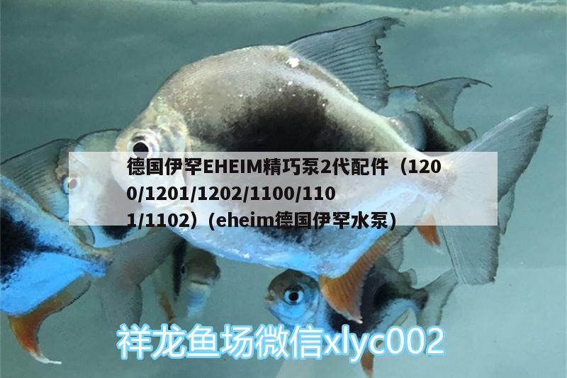 德國伊罕EHEIM精巧泵2代配件（1200/1201/1202/1100/1101/1102）(eheim德國伊罕水泵)