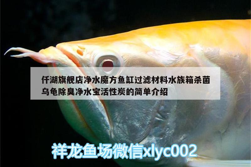 仟湖旗艦店凈水魔方魚(yú)缸過(guò)濾材料水族箱殺菌烏龜除臭凈水寶活性炭的簡(jiǎn)單介紹 烏龜