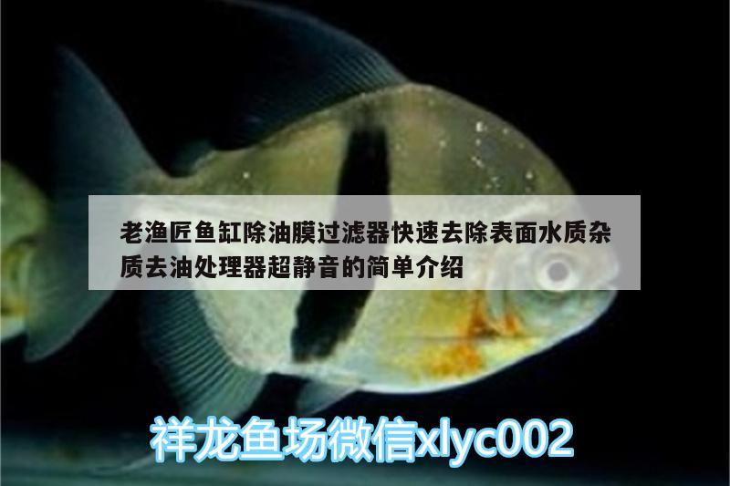 老漁匠魚(yú)缸除油膜過(guò)濾器快速去除表面水質(zhì)雜質(zhì)去油處理器超靜音的簡(jiǎn)單介紹