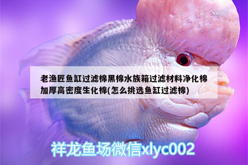 老漁匠魚缸過濾棉黑棉水族箱過濾材料凈化棉加厚高密度生化棉(怎么挑選魚缸過濾棉) 魚缸/水族箱