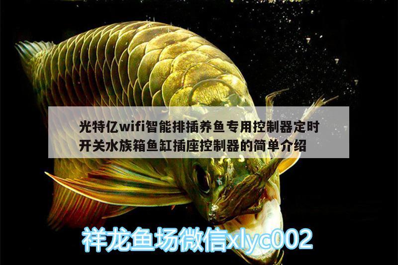 光特億wifi智能排插養(yǎng)魚專用控制器定時開關(guān)水族箱魚缸插座控制器的簡單介紹 光特億