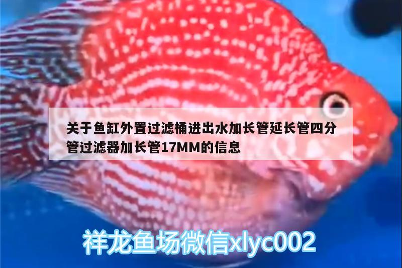 關(guān)于魚缸外置過濾桶進(jìn)出水加長管延長管四分管過濾器加長管17MM的信息 廣州水族器材濾材批發(fā)市場 第2張