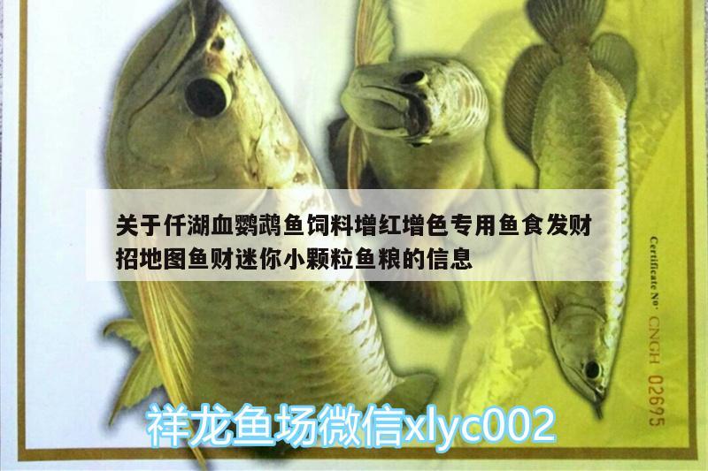 關于仟湖血鸚鵡魚飼料增紅增色專用魚食發(fā)財招地圖魚財迷你小顆粒魚糧的信息