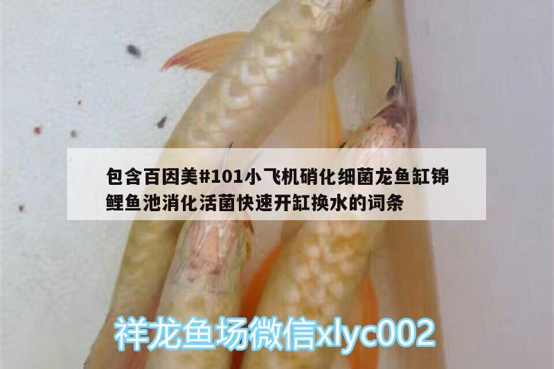 包含百因美#101小飛機(jī)硝化細(xì)菌龍魚缸錦鯉魚池消化活菌快速開缸換水的詞條 硝化細(xì)菌