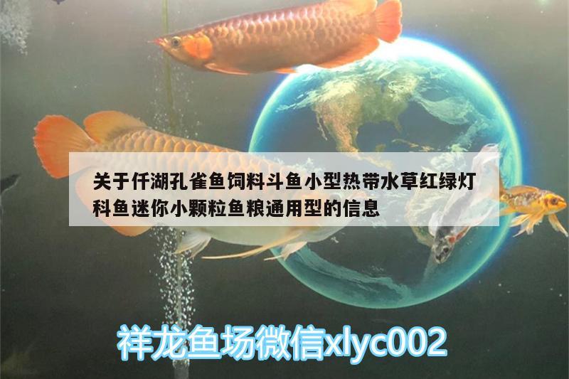 關(guān)于仟湖孔雀魚飼料斗魚小型熱帶水草紅綠燈科魚迷你小顆粒魚糧通用型的信息 仟湖