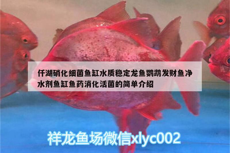 仟湖硝化細(xì)菌魚缸水質(zhì)穩(wěn)定龍魚鸚鵡發(fā)財魚凈水劑魚缸魚藥消化活菌的簡單介紹 鸚鵡魚