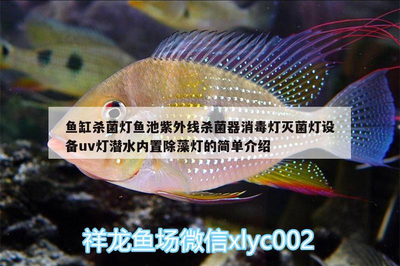 魚缸殺菌燈魚池紫外線殺菌器消毒燈滅菌燈設(shè)備uv燈潛水內(nèi)置除藻燈的簡單介紹 廣州水族器材濾材批發(fā)市場