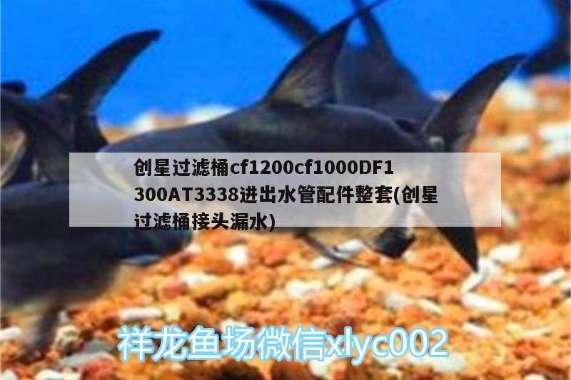 創(chuàng)星過濾桶cf1200cf1000DF1300AT3338進(jìn)出水管配件整套(創(chuàng)星過濾桶接頭漏水) 廣州水族器材濾材批發(fā)市場