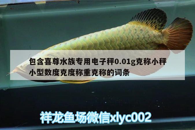 包含喜尊水族專用電子秤0.01g克稱小秤小型數(shù)度克度稱重克稱的詞條