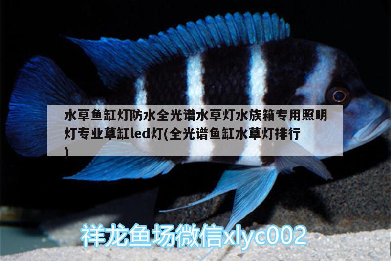 水草魚(yú)缸燈防水全光譜水草燈水族箱專(zhuān)用照明燈專(zhuān)業(yè)草缸led燈(全光譜魚(yú)缸水草燈排行) 魚(yú)缸/水族箱