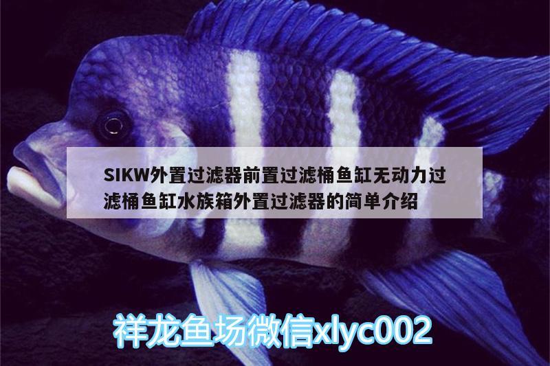 SIKW外置過濾器前置過濾桶魚缸無動力過濾桶魚缸水族箱外置過濾器的簡單介紹