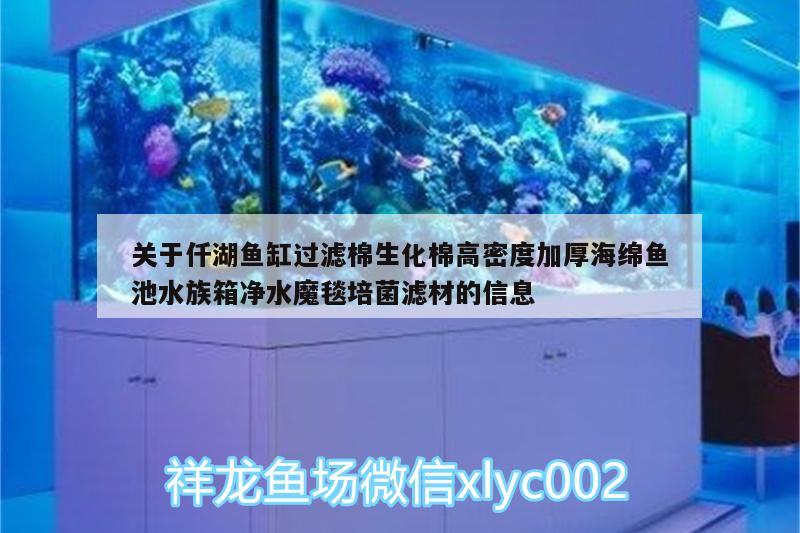 關(guān)于仟湖魚缸過(guò)濾棉生化棉高密度加厚海綿魚池水族箱凈水魔毯培菌濾材的信息