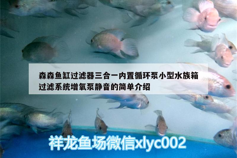 森森魚缸過(guò)濾器三合一內(nèi)置循環(huán)泵小型水族箱過(guò)濾系統(tǒng)增氧泵靜音的簡(jiǎn)單介紹 魚缸/水族箱