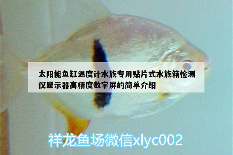 太陽能魚缸溫度計水族專用貼片式水族箱檢測儀顯示器高精度數(shù)字屏的簡單介紹