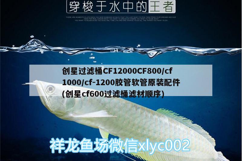 創(chuàng)星過濾桶CF12000CF800/cf1000/cf-1200膠管軟管原裝配件(創(chuàng)星cf600過濾桶濾材順序) 廣州水族器材濾材批發(fā)市場