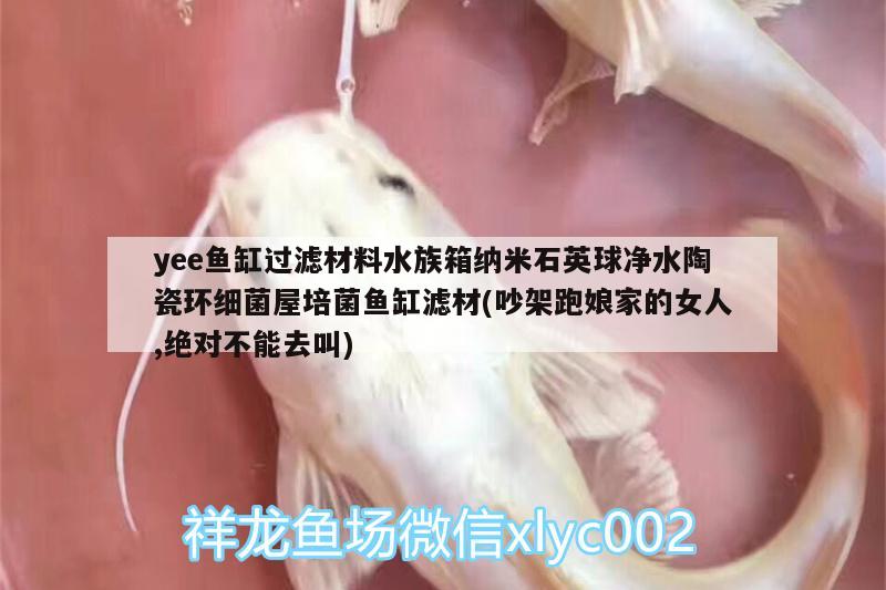 yee魚缸過濾材料水族箱納米石英球凈水陶瓷環(huán)細菌屋培菌魚缸濾材(吵架跑娘家的女人,絕對不能去叫)