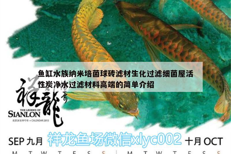 魚(yú)缸水族納米培菌球磚濾材生化過(guò)濾細(xì)菌屋活性炭?jī)羲^(guò)濾材料高端的簡(jiǎn)單介紹