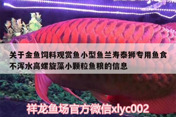 關(guān)于金魚飼料觀賞魚小型魚蘭壽泰獅專用魚食不渾水高螺旋藻小顆粒魚糧的信息