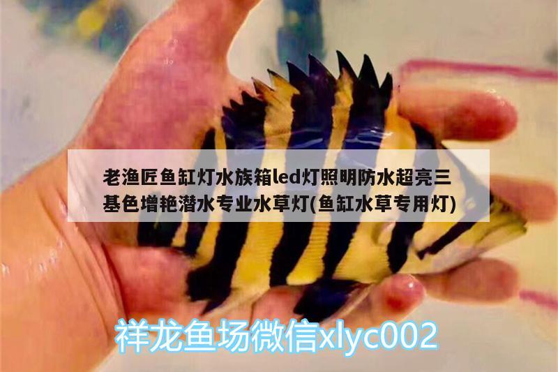 老漁匠魚缸燈水族箱led燈照明防水超亮三基色增艷潛水專業(yè)水草燈(魚缸水草專用燈) 魚缸/水族箱