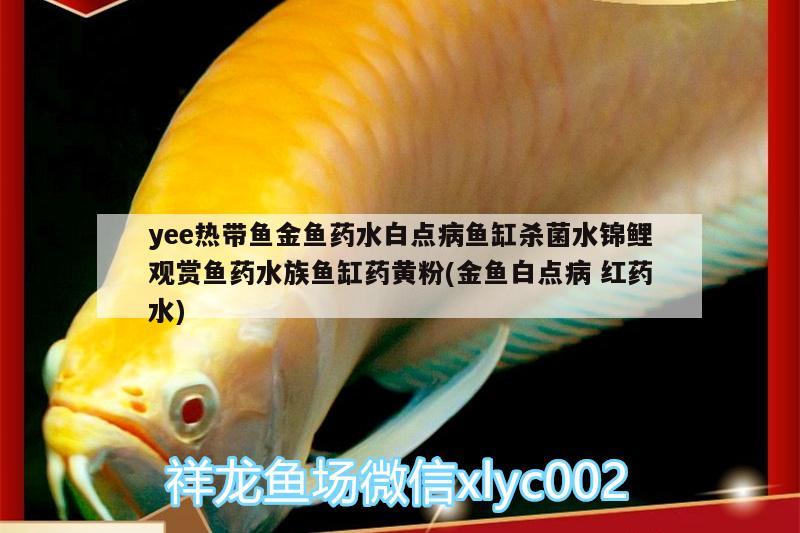 yee熱帶魚金魚藥水白點(diǎn)病魚缸殺菌水錦鯉觀賞魚藥水族魚缸藥黃粉(金魚白點(diǎn)病紅藥水) yee