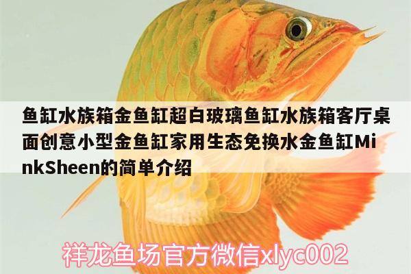 魚缸水族箱金魚缸超白玻璃魚缸水族箱客廳桌面創(chuàng)意小型金魚缸家用生態(tài)免換水金魚缸MinkSheen的簡(jiǎn)單介紹 魚缸/水族箱