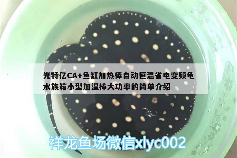 光特億CA+魚缸加熱棒自動恒溫省電變頻龜水族箱小型加溫棒大功率的簡單介紹 烏龜